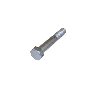 N10170804 Suspension Trailing Arm Bolt (Rear)